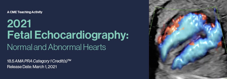 2021 Fetal Echocardiography: Normal and Abnormal Hearts (CME VIDEOS) 1 | Medical Books & CME Courses 2021 fetal echocardiography normal and abnormal hearts cme videos 639b940688c17 | Medical Books & CME Courses