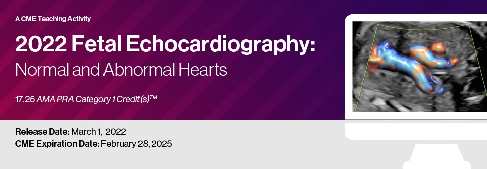 2022 fetal echocardiography normal and abnormal hearts cme videos 63a23db088cc2 | Medical Books & CME Courses