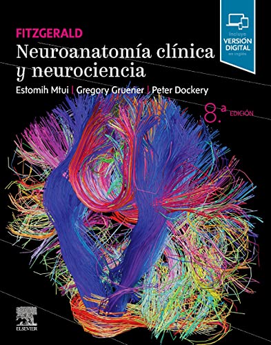 fitzgerald neuroanatomia clinica y neurociencia 8th edition original pdf from publisher 63a2485027241 | Medical Books & CME Courses