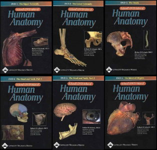 free aclands dvd atlas of human anatomy full 6 dvds 63a1b0dda33f0 | Medical Books & CME Courses